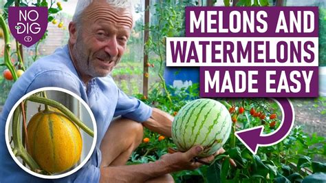 melonsstube|Free Melons Tube Porn Videos 